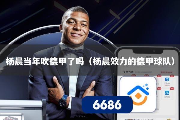 杨晨当年吹德甲了吗(杨晨效力的德甲球队)